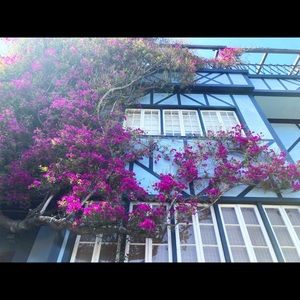 Meet your Posher, Jack